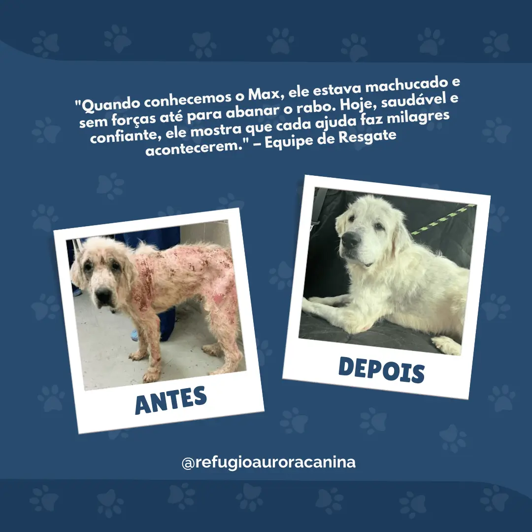 Refúgio Aurora Canina