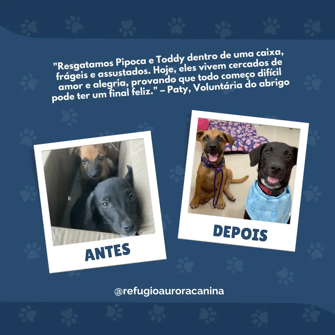 Refúgio Aurora Canina